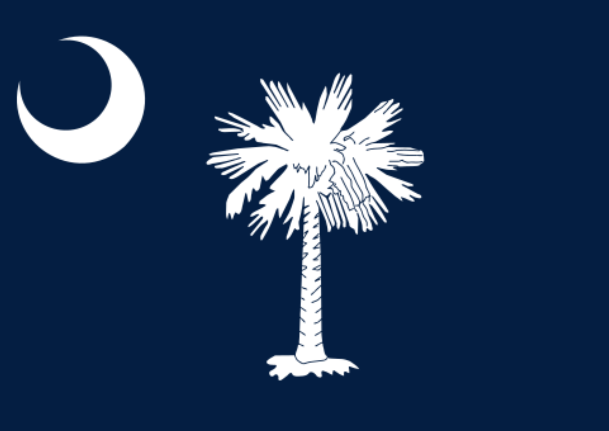 SOUTH CAROLINA FLAG