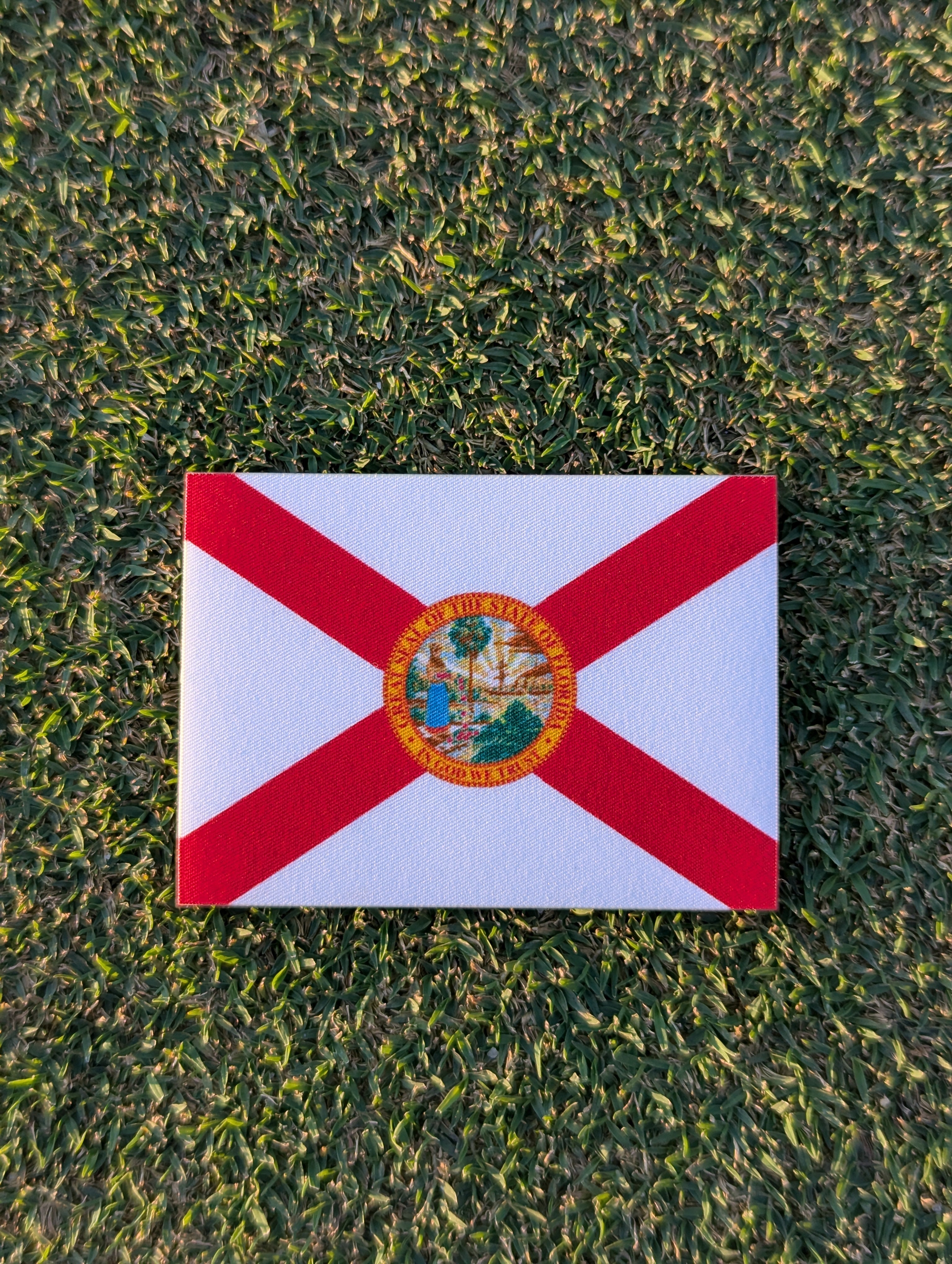FLORIDA FLAG